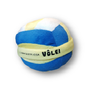 volei